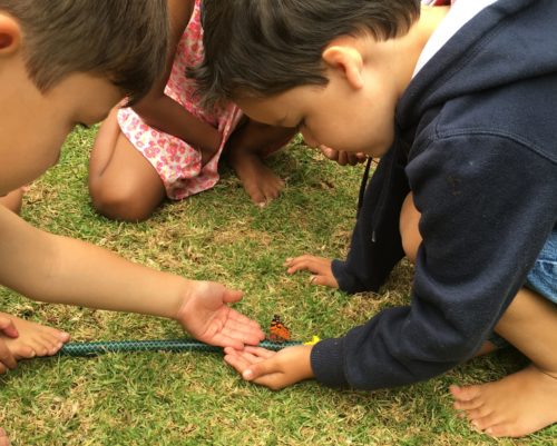 Jardín Infantil Ubuntu Educación Holística Vitacura Taller